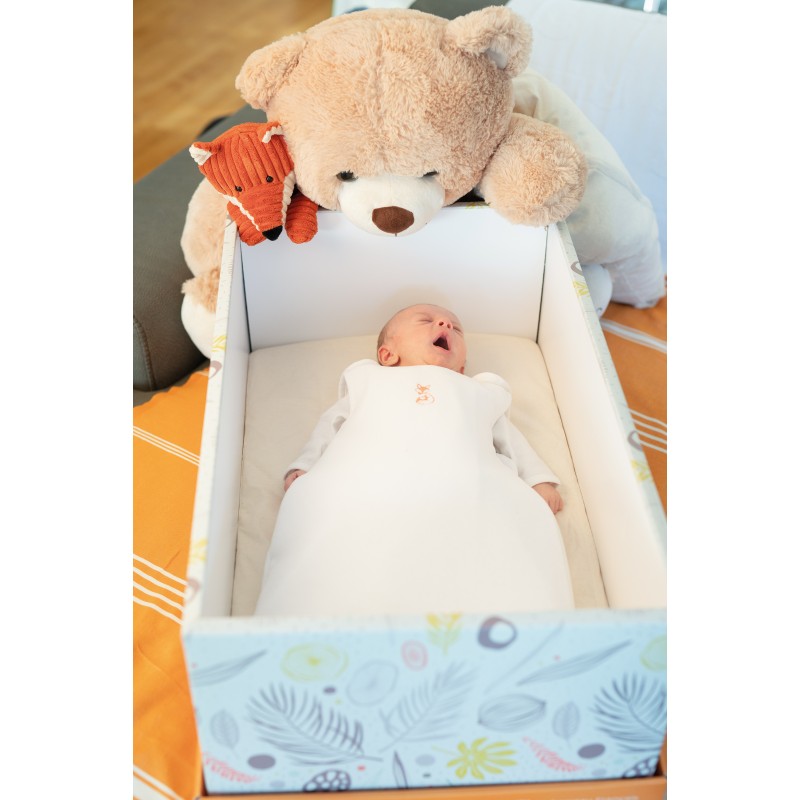 Copy Of Baby Box Le Couffin Ecologique Savane
